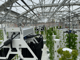 SpectraGrow LED fixture at Altius Farms greenhouse